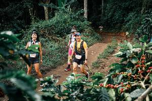 BIB: 
                            <button type="button" onclick="openModal(25858004)" class="btn btn-primary btn-sm float-right btn-popup" data-toggle="modal" data-target=".modal-high-quality">
                        <i class="fas fa-shopping-cart"></i> Add to Cart
                    </button>
                                            <button type="button" onclick="isThisMe(25858004, true)" class="btn btn-success btn-sm float-right btn-popup btn-isme hidden" data-toggle="tooltip" data-placement="bottom" title="นี่คือรูปของคุณใช่ไหม คลิกที่นี่เพื่อเอาเข้าอัลบั้ม">
                        <i class="fas fa-plus"></i> Add to album
                    </button>
                    <button type="button" onclick="isThisMe(25858004, false)" class="btn btn-warning btn-sm float-right btn-popup btn-isnotme hidden">
                        <i class="fas fa-ban"></i> Remove from album
                    </button>